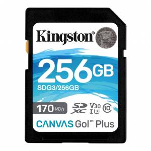 Karta Pamyati Kingston Canvas Go Plus Sdxc Uhs I U3 V30 256gb Class10 Sdg3 256gb Sd Karty Pamyati